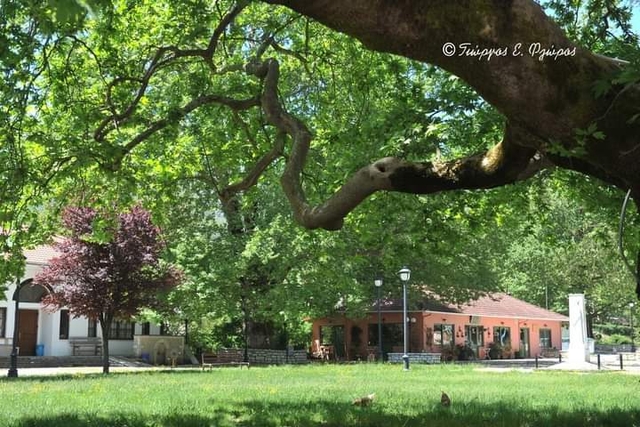 005 plaisia central square village